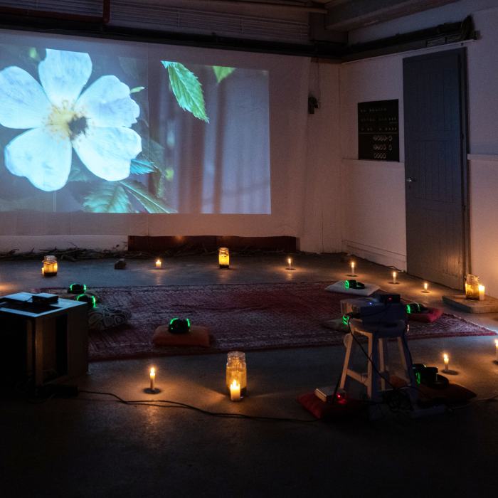 David Favre, Tandis que les cœurs des plantes commenceront à battre, 2021, travail de Bachelor. Photo: Laura Morier-Genoud / EDHEA